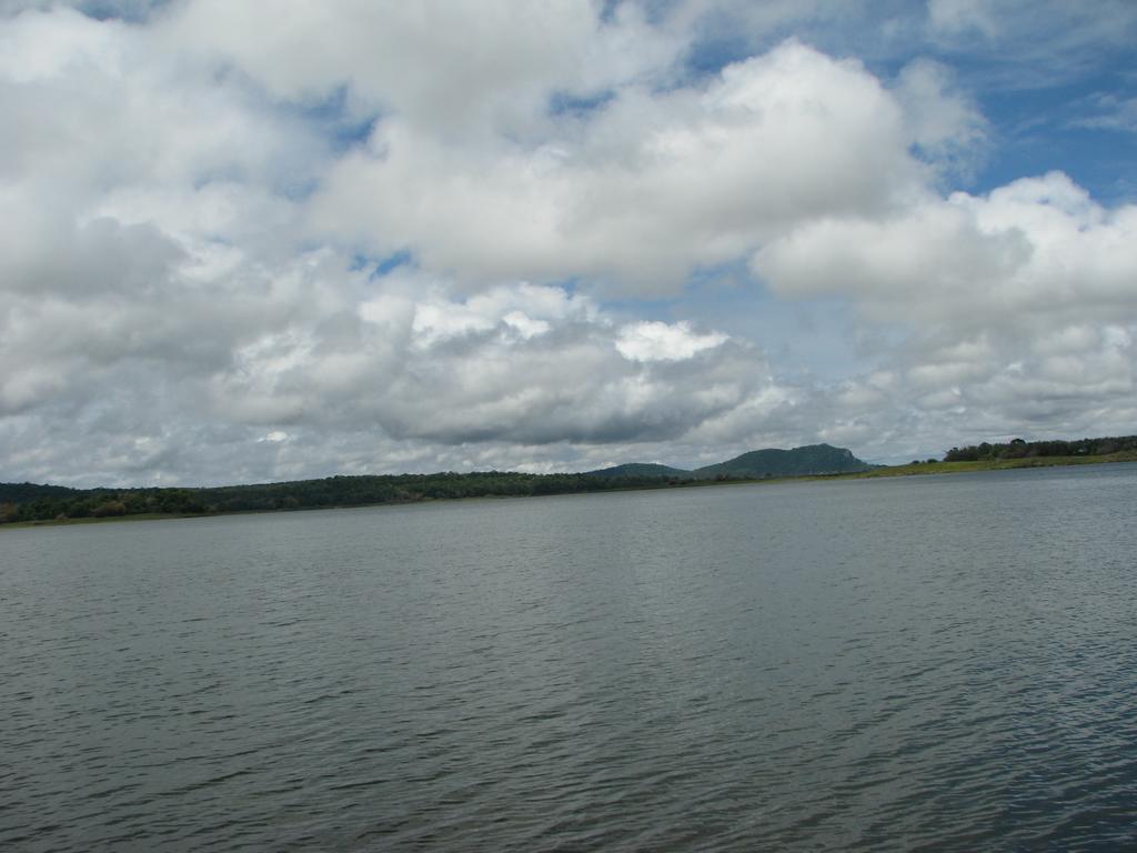Coorg Jungle Camp Resort Suntikoppa Exterior photo